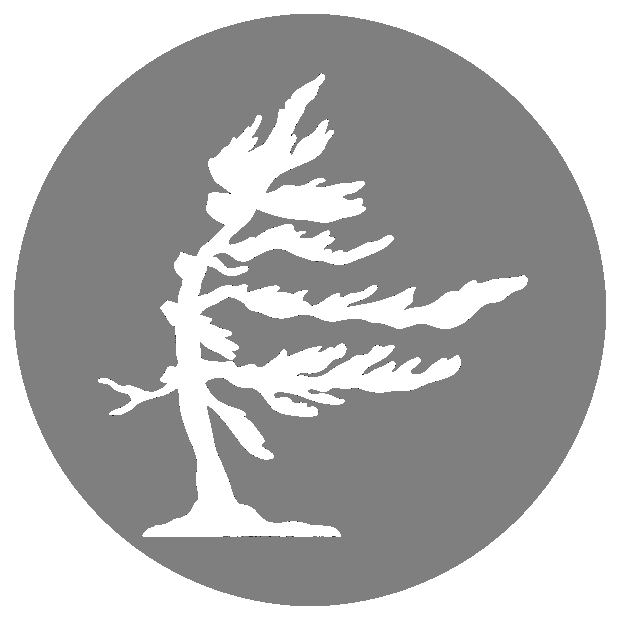Talispros&trade;